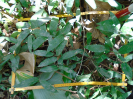 PA_883_1_665b