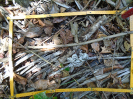 PA_883_1_666c