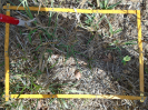 PA_883_2_654a