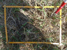 PA_883_2_656c