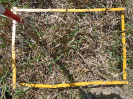 PA_883_2_657d