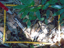 PA_883_3_670b