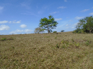 PA_883_4_658