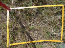 PA_883_4_659a
