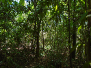 PA_885_3_707
