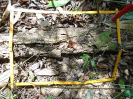 PA_885_3_709b