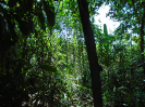PA_885_4_712