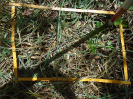 PA_885_4_715c