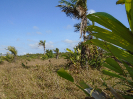 PA_886_0_674