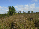 PA_886_1_675