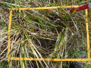 PA_886_1_676a