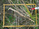 PA_886_1_678c