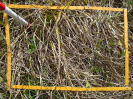PA_886_1_679d