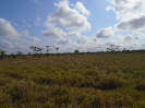 PA_886_2_680