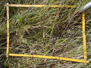 PA_886_2_682b