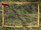 PA_886_2_684d