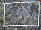 PA_889_3_37b