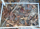 PA_889_4_41a