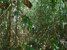 PA_936_1_41