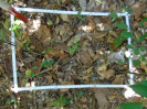 PA_936_2_47a