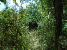 PA_936_3_51