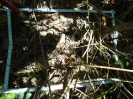 PA_936_3_52a
