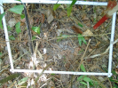 PA_936_3_54c
