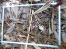 PA_937_3_16b
