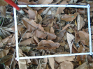 PA_938_3_22a