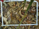 PA_941_3_62a