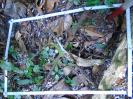 PA_941_3_64c