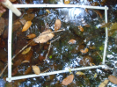 PA_941_4_67a