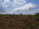PA_942_1_322