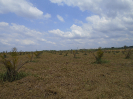 PA_942_2_317
