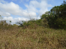 PA_943_0_294