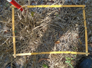 PA_943_1_296a