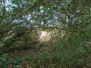 PA_943_2_300
