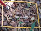 PA_943_2_301a