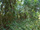 PA_943_3_305