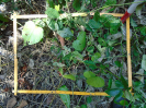 PA_943_3_307b