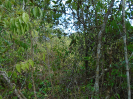 PA_945_0_630