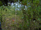 PA_945_1_631