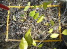 PA_945_1_632a
