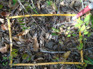 PA_945_1_634c