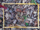PA_945_2_640d