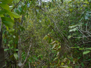 PA_945_4_646