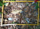 PA_945_4_648b