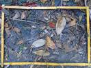 PA_946_1_508a