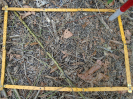 PA_946_1_510c
