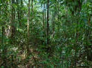 PA_994_1_03